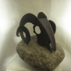 widderschädel 012